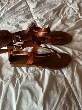 Sonoma Brown Strappy Gladiator Sandals for Women